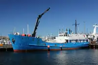 Nava de transport marfă vrac de vânzare