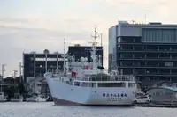 Nava de pescuit tip trauler de vânzare