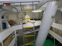 Nava de transport marfă vrac de vânzare