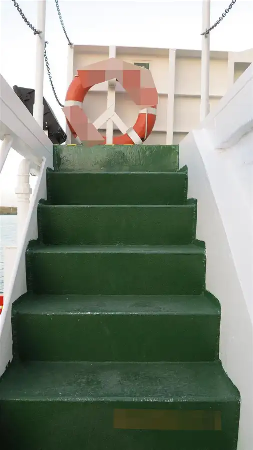 Catamaran de vânzare