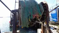 Nava de pescuit tip trauler de vânzare
