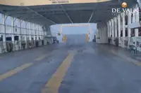 Navă de feribot de vânzare