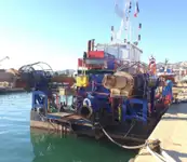 Dragă de vânzare