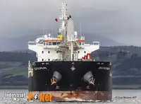 Nava de transport marfă vrac de vânzare