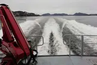 Ambarcațiuni de lucru de vânzare