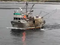 Longliner de vânzare