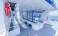 Catamaran de vânzare