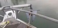 Nava de pescuit tip trauler de vânzare
