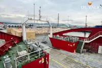Navă de feribot de vânzare