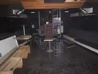 Navă de feribot de vânzare