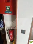 Navă de croazieră de vânzare