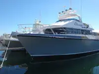 Ambarcațiuni de lucru de vânzare