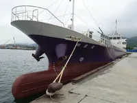 General Cargo/Multi-purpose de vânzare