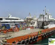 Navă de servicii pentru parcuri eoliene de vânzare