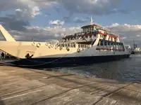 Ro-Ro ship de vânzare