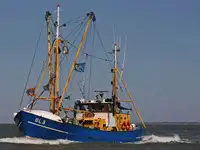 Nava de pescuit tip trauler de vânzare