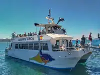Nava de pasageri de vânzare