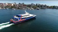 Catamaran de vânzare