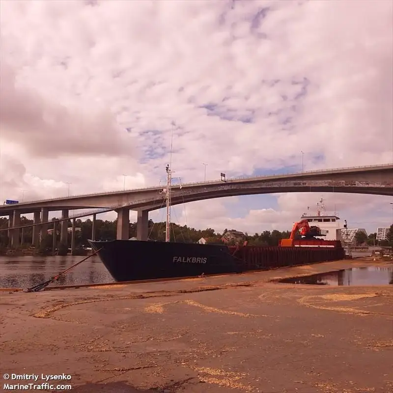 Nava de transport marfă vrac de vânzare