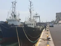 Nava de pescuit tip trauler de vânzare