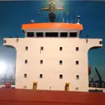 Nava de transport marfă vrac de vânzare