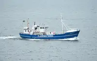 Nava de pescuit tip trauler de vânzare