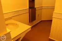 Navă de feribot de vânzare