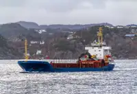 Nava de transport marfă vrac de vânzare
