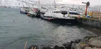 Bărci de lucru de vânzare