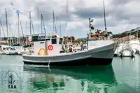 Nava de pescuit tip trauler de vânzare