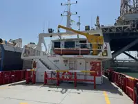 Catamaran de vânzare