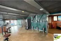 Navă Ro-Ro de vânzare