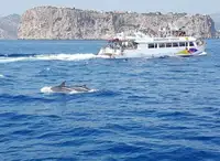 Nava de pasageri de vânzare