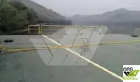 Barjă de vânzare