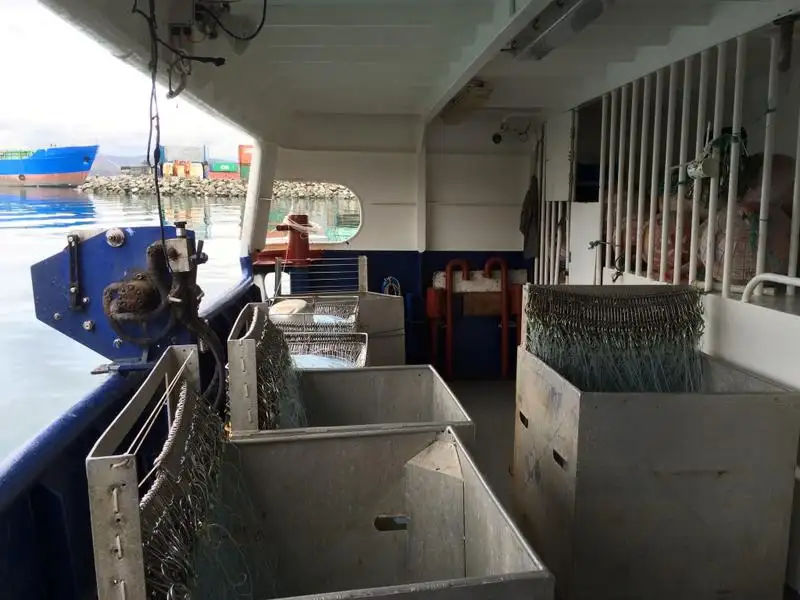 Nava de pescuit tip trauler de vânzare