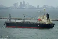 Nava de transport marfă vrac de vânzare