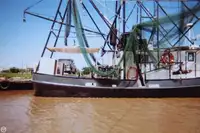 Nava de pescuit tip trauler de vânzare