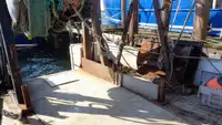 Nava de pescuit tip trauler de vânzare