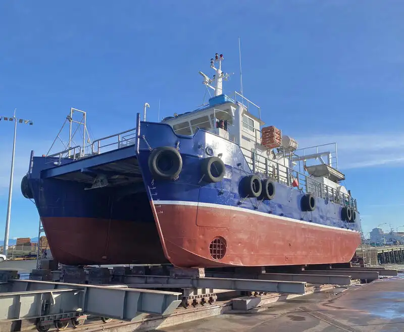 Catamaran de vânzare