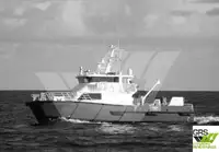 Catamaran de vânzare