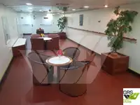 Navă Ro-Ro de vânzare