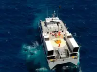 Vas de cercetare de vânzare