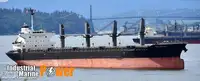 Nava de transport marfă vrac de vânzare