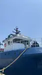 Nava de pescuit tip trauler de vânzare