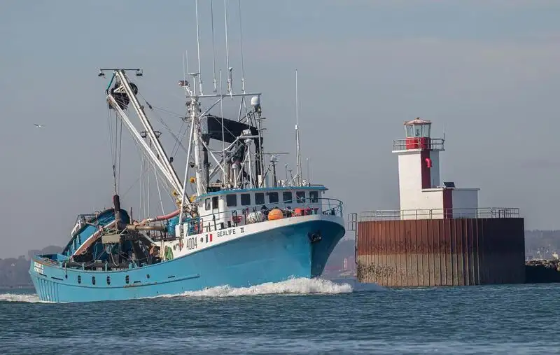 Nava de pescuit cu plase purseine de vânzare