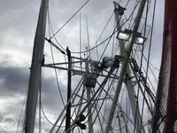 Nava de pescuit tip trauler de vânzare