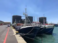 Longliner de vânzare