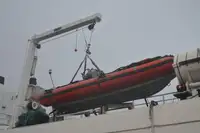 Navă Ro-Ro de vânzare