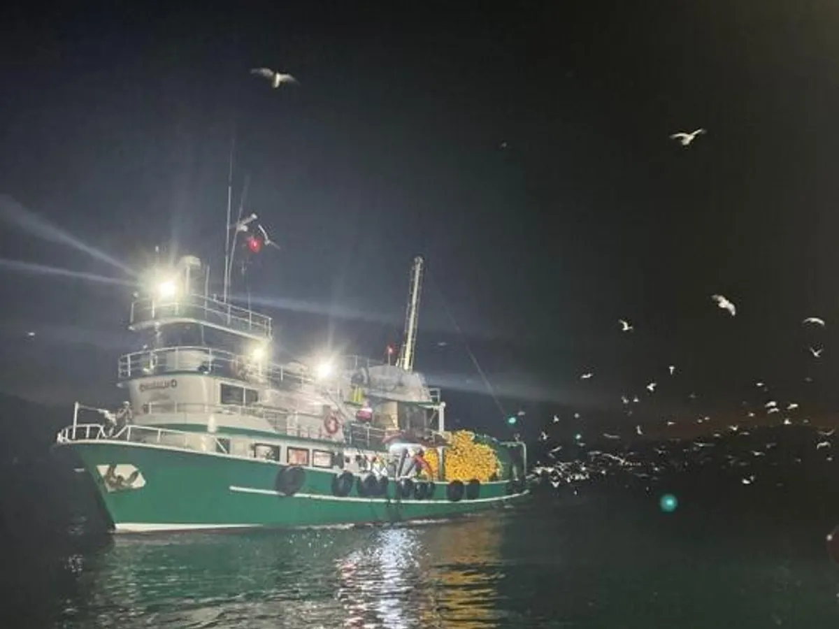 Nava de pescuit cu plase purseine de vânzare