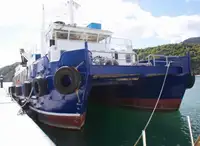 Catamaran de vânzare